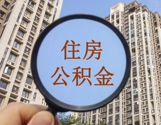 钦州退休后查不到公积金明细了吗（退休后公积金查询不到原因）